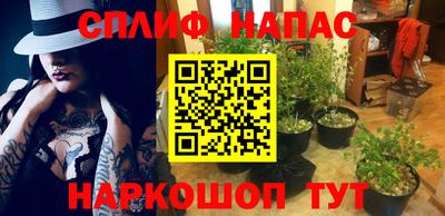 сатива Малоярославец