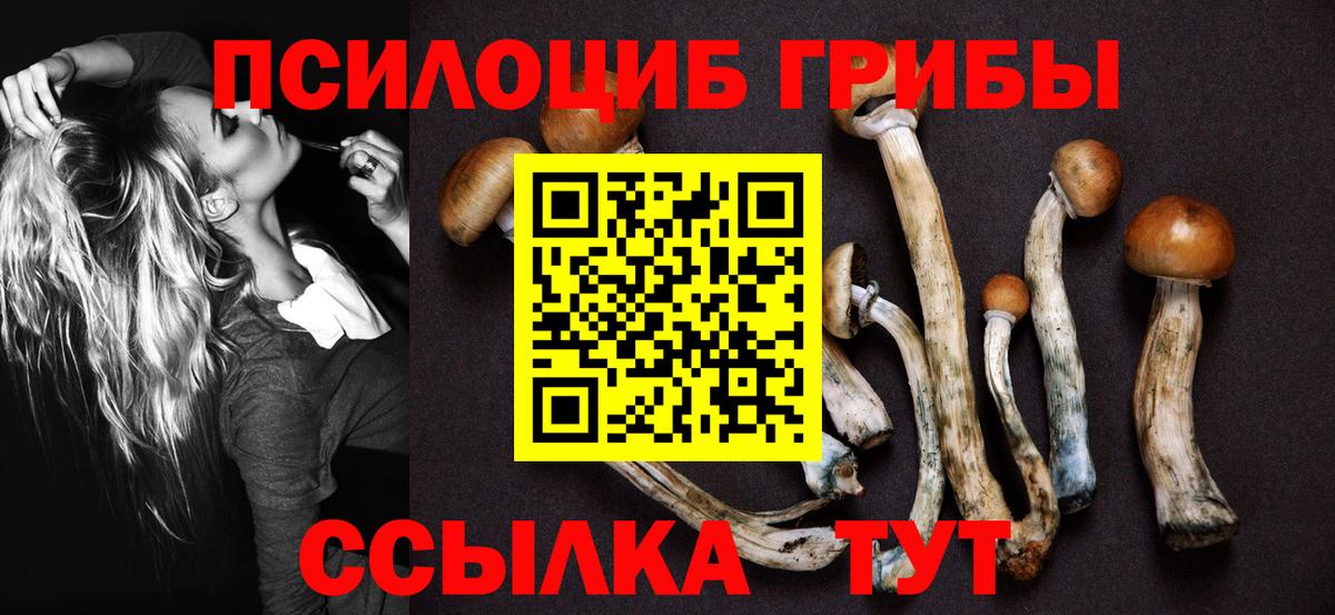 Псилоцибиновые грибы мухоморы  Грозный  Псилоцибиновые грибы Cubensis 