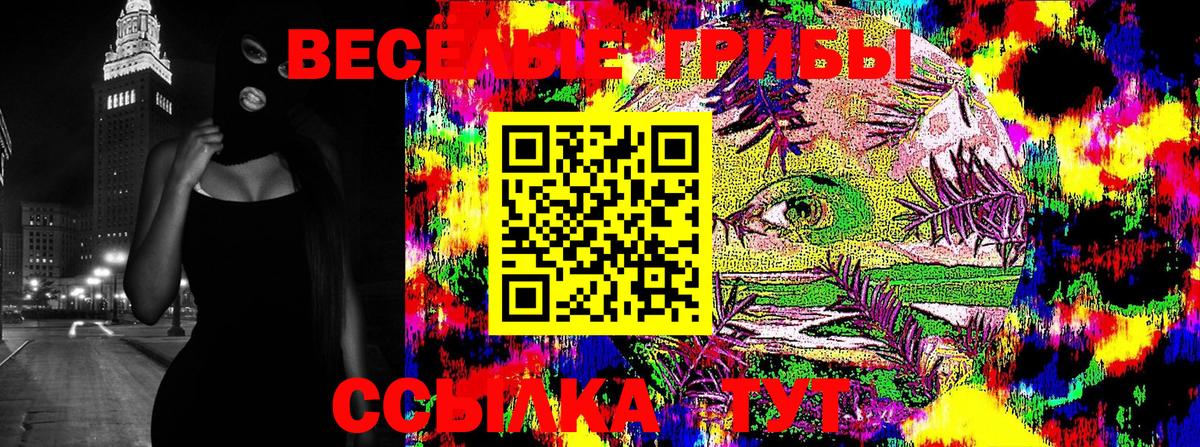 Псилоцибиновые грибы GOLDEN TEACHER  купить   Грозный  Вход с VPN 