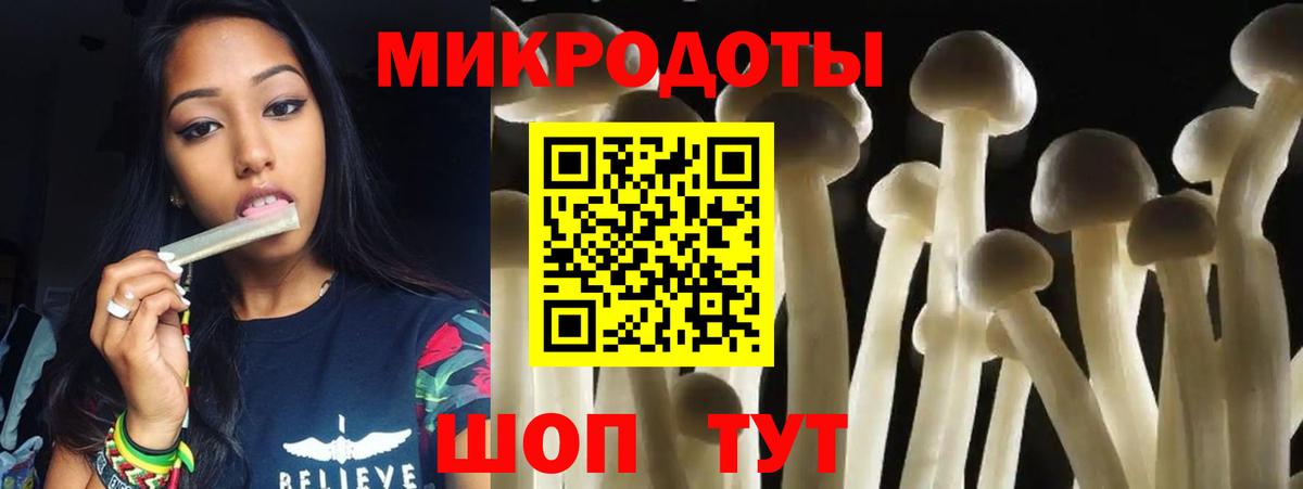 Псилоцибиновые грибы Psilocybe Грозный